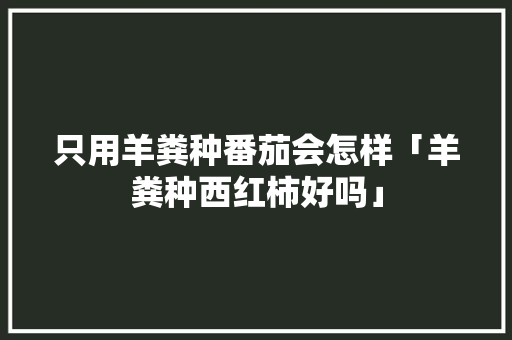 只用羊粪种番茄会怎样「羊粪种西红柿好吗」