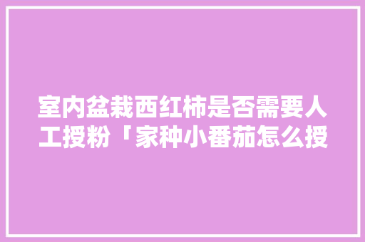 室内盆栽西红柿是否需要人工授粉「家种小番茄怎么授粉」 室内盆栽西红柿是否需要人工授粉「家种小番茄怎么授粉」 番茄种植技巧