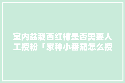 室内盆栽西红柿是否需要人工授粉「家种小番茄怎么授粉」 植物种类 室内盆栽西红柿是否需要人工授粉「家种小番茄怎么授粉」 室内盆栽西红柿是否需要人工授粉「家种小番茄怎么授粉」 植物种类