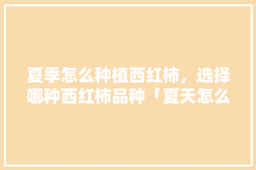 夏季怎么种植西红柿，选择哪种西红柿品种「夏天怎么培育番茄种植技术」 夏季怎么种植西红柿，选择哪种西红柿品种「夏天怎么培育番茄种植技术」 土壤施肥