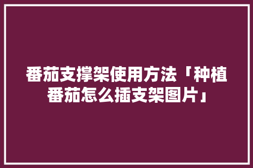 番茄支撑架使用方法「种植番茄怎么插支架图片」 番茄支撑架使用方法「种植番茄怎么插支架图片」 番茄病虫害防治