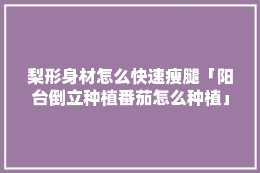 梨形身材怎么快速瘦腿「阳台倒立种植番茄怎么种植」 梨形身材怎么快速瘦腿「阳台倒立种植番茄怎么种植」 农业常识