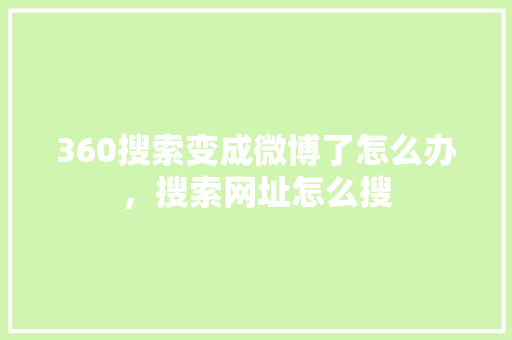 360搜索变成微博了怎么办，搜索网址怎么搜