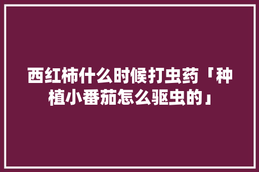 西红柿什么时候打虫药「种植小番茄怎么驱虫的」 西红柿什么时候打虫药「种植小番茄怎么驱虫的」 番茄种植技巧