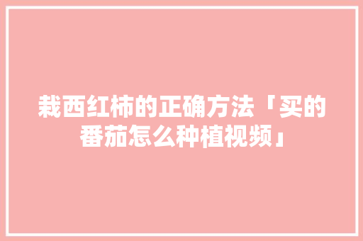 栽西红柿的正确方法「买的番茄怎么种植视频」 栽西红柿的正确方法「买的番茄怎么种植视频」 番茄种植技巧