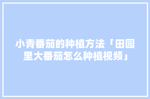 小青番茄的种植方法「田园里大番茄怎么种植视频」 小青番茄的种植方法「田园里大番茄怎么种植视频」 种植技巧