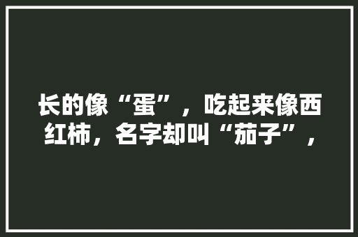 长的像“蛋”，吃起来像西红柿，名字却叫“茄子”，这种蔬菜咋那么奇怪？如何种植呢「椭圆小番茄怎么种植视频」 长的像“蛋”，吃起来像西红柿，名字却叫“茄子”，这种蔬菜咋那么奇怪？如何种植呢「椭圆小番茄怎么种植视频」 番茄病虫害防治