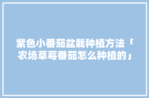 紫色小番茄盆栽种植方法「农场草莓番茄怎么种植的」 紫色小番茄盆栽种植方法「农场草莓番茄怎么种植的」 种植技巧