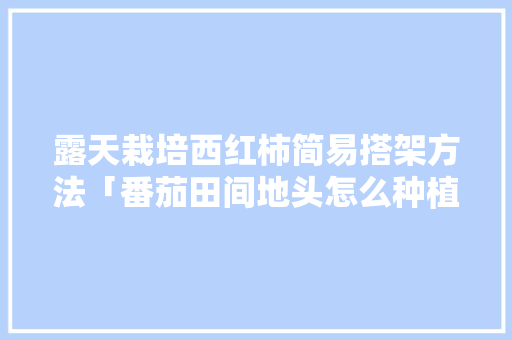 露天栽培西红柿简易搭架方法「番茄田间地头怎么种植视频」 露天栽培西红柿简易搭架方法「番茄田间地头怎么种植视频」 番茄病虫害防治