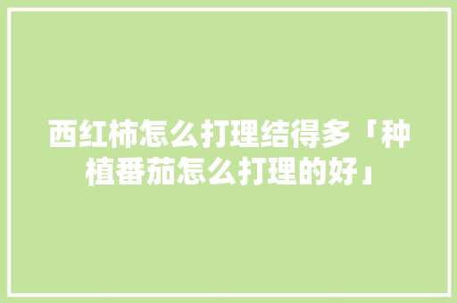 西红柿怎么打理结得多「种植番茄怎么打理的好」 西红柿怎么打理结得多「种植番茄怎么打理的好」 农业常识