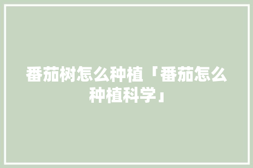 番茄树怎么种植「番茄怎么种植科学」 番茄树怎么种植「番茄怎么种植科学」 农业常识