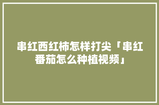 串红西红柿怎样打尖「串红番茄怎么种植视频」 串红西红柿怎样打尖「串红番茄怎么种植视频」 花朵知识