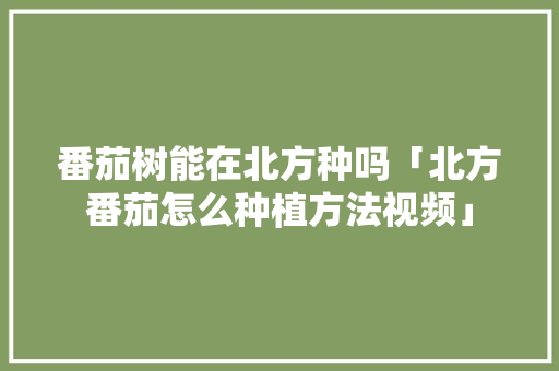 番茄树能在北方种吗「北方番茄怎么种植方法视频」 番茄树能在北方种吗「北方番茄怎么种植方法视频」 种植技巧
