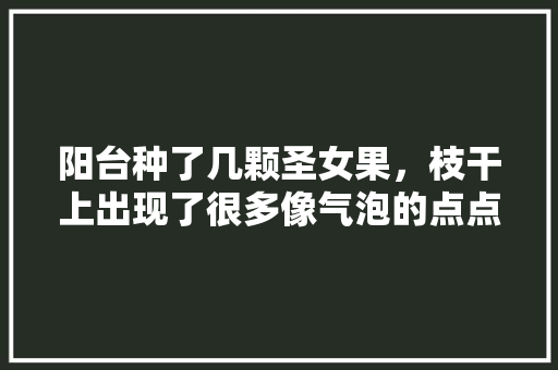 阳台种了几颗圣女果，枝干上出现了很多像气泡的点点，怎么回事「泡沫番茄怎么种植视频」 阳台种了几颗圣女果，枝干上出现了很多像气泡的点点，怎么回事「泡沫番茄怎么种植视频」 植物种类