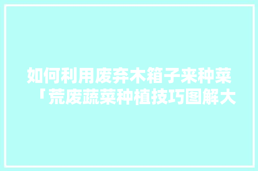 如何利用废弃木箱子来种菜「荒废蔬菜种植技巧图解大全」 如何利用废弃木箱子来种菜「荒废蔬菜种植技巧图解大全」 番茄种植技巧