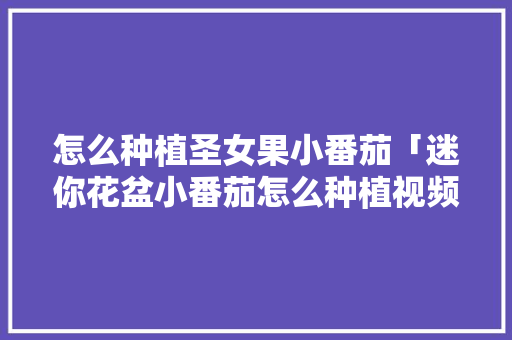怎么种植圣女果小番茄「迷你花盆小番茄怎么种植视频」 怎么种植圣女果小番茄「迷你花盆小番茄怎么种植视频」 农业常识