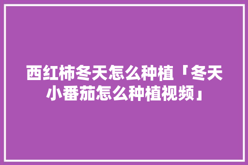 西红柿冬天怎么种植「冬天小番茄怎么种植视频」 西红柿冬天怎么种植「冬天小番茄怎么种植视频」 种植技巧