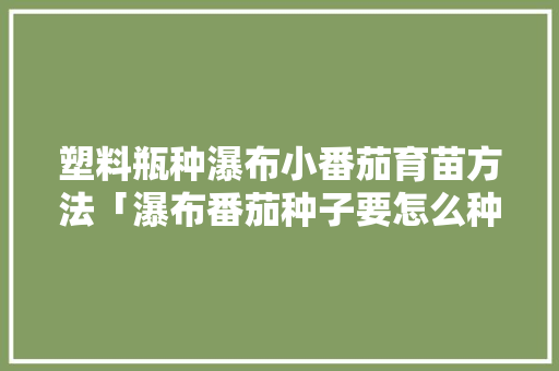 塑料瓶种瀑布小番茄育苗方法「瀑布番茄种子要怎么种植呢」 塑料瓶种瀑布小番茄育苗方法「瀑布番茄种子要怎么种植呢」 农业常识