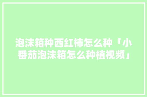 泡沫箱种西红柿怎么种「小番茄泡沫箱怎么种植视频」 泡沫箱种西红柿怎么种「小番茄泡沫箱怎么种植视频」 农业常识