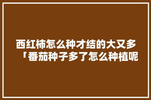 西红柿怎么种才结的大又多「番茄种子多了怎么种植呢视频」 西红柿怎么种才结的大又多「番茄种子多了怎么种植呢视频」 土壤施肥