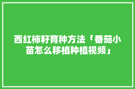 西红柿籽育种方法「番茄小苗怎么移植种植视频」 西红柿籽育种方法「番茄小苗怎么移植种植视频」 植物种类