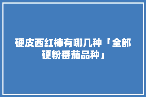 硬皮西红柿有哪几种「全部硬粉番茄品种」 硬皮西红柿有哪几种「全部硬粉番茄品种」 番茄病虫害防治