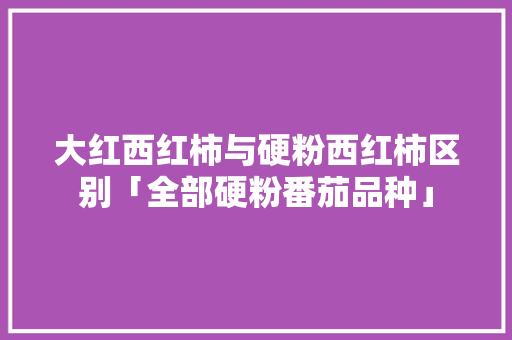 大红西红柿与硬粉西红柿区别「全部硬粉番茄品种」 大红西红柿与硬粉西红柿区别「全部硬粉番茄品种」 种植技巧