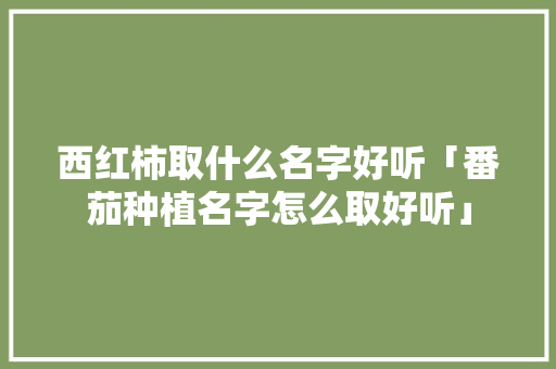 西红柿取什么名字好听「番茄种植名字怎么取好听」