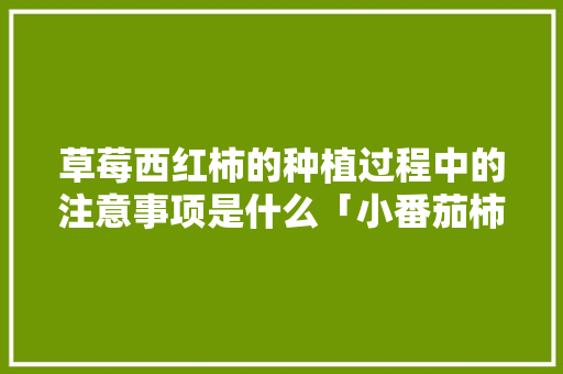 草莓西红柿的种植过程中的注意事项是什么「小番茄柿子怎么种植视频」 草莓西红柿的种植过程中的注意事项是什么「小番茄柿子怎么种植视频」 植物种类