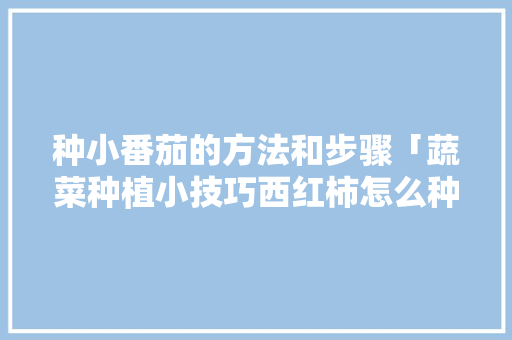 种小番茄的方法和步骤「蔬菜种植小技巧西红柿怎么种」 种小番茄的方法和步骤「蔬菜种植小技巧西红柿怎么种」 农业常识