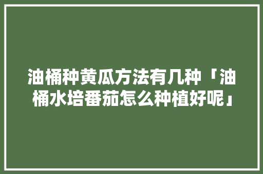 油桶种黄瓜方法有几种「油桶水培番茄怎么种植好呢」 油桶种黄瓜方法有几种「油桶水培番茄怎么种植好呢」 土壤施肥