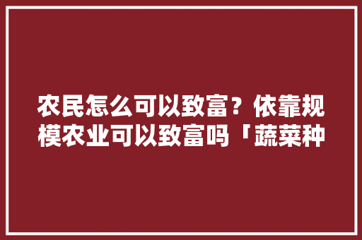 农民怎么可以致富？依靠规模农业可以致富吗「蔬菜种植小妙招」 农民怎么可以致富？依靠规模农业可以致富吗「蔬菜种植小妙招」 土壤施肥