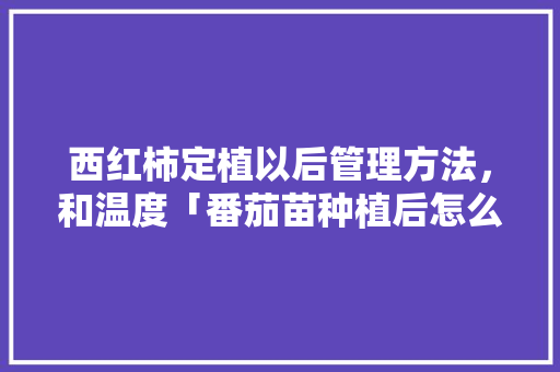 西红柿定植以后管理方法，和温度「番茄苗种植后怎么管理好」 西红柿定植以后管理方法，和温度「番茄苗种植后怎么管理好」 植物种类