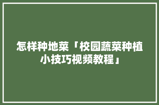 怎样种地菜「校园蔬菜种植小技巧视频教程」 怎样种地菜「校园蔬菜种植小技巧视频教程」 植物种类