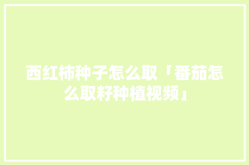 西红柿种子怎么取「番茄怎么取籽种植视频」 西红柿种子怎么取「番茄怎么取籽种植视频」 植物种类