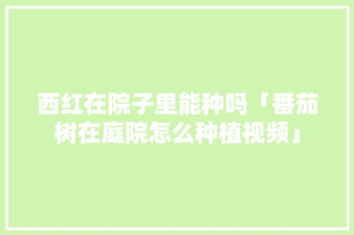 西红在院子里能种吗「番茄树在庭院怎么种植视频」 西红在院子里能种吗「番茄树在庭院怎么种植视频」 花朵知识