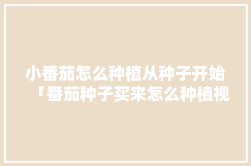 小番茄怎么种植从种子开始「番茄种子买来怎么种植视频」 小番茄怎么种植从种子开始「番茄种子买来怎么种植视频」 种植技巧