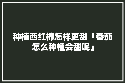 种植西红柿怎样更甜「番茄怎么种植会甜呢」 种植西红柿怎样更甜「番茄怎么种植会甜呢」 种植技巧