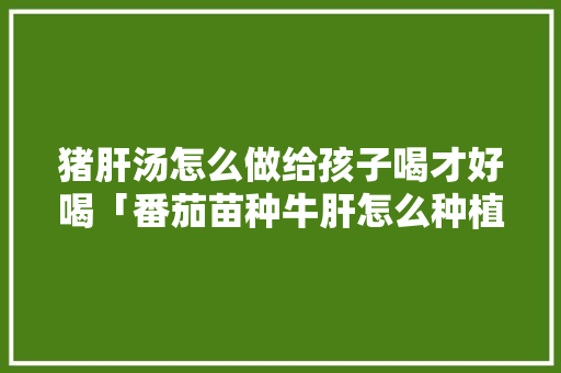 猪肝汤怎么做给孩子喝才好喝「番茄苗种牛肝怎么种植视频」 猪肝汤怎么做给孩子喝才好喝「番茄苗种牛肝怎么种植视频」 植物种类