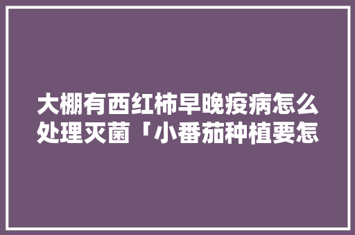 大棚有西红柿早晚疫病怎么处理灭菌「小番茄种植要怎么灭菌呢」 大棚有西红柿早晚疫病怎么处理灭菌「小番茄种植要怎么灭菌呢」 植物种类