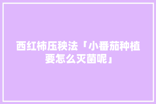 西红柿压秧法「小番茄种植要怎么灭菌呢」 西红柿压秧法「小番茄种植要怎么灭菌呢」 土壤施肥