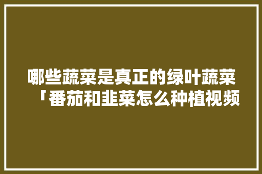 哪些蔬菜是真正的绿叶蔬菜「番茄和韭菜怎么种植视频」