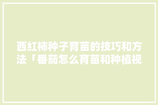 西红柿种子育苗的技巧和方法「番茄怎么育苗和种植视频」 西红柿种子育苗的技巧和方法「番茄怎么育苗和种植视频」 植物种类