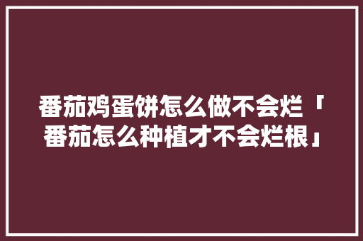 番茄鸡蛋饼怎么做不会烂「番茄怎么种植才不会烂根」 土壤施肥 番茄鸡蛋饼怎么做不会烂「番茄怎么种植才不会烂根」 番茄鸡蛋饼怎么做不会烂「番茄怎么种植才不会烂根」 土壤施肥