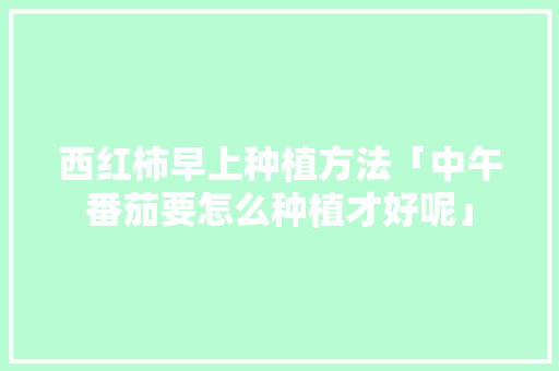 西红柿早上种植方法「中午番茄要怎么种植才好呢」 西红柿早上种植方法「中午番茄要怎么种植才好呢」 番茄种植技巧