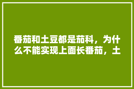 番茄和土豆都是茄科，为什么不能实现上面长番茄，土里长土豆「土豆番茄种植园怎么种植视频」 番茄和土豆都是茄科，为什么不能实现上面长番茄，土里长土豆「土豆番茄种植园怎么种植视频」 农业常识