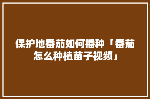 保护地番茄如何播种「番茄怎么种植苗子视频」 保护地番茄如何播种「番茄怎么种植苗子视频」 土壤施肥