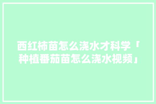 西红柿苗怎么浇水才科学「种植番茄苗怎么浇水视频」 西红柿苗怎么浇水才科学「种植番茄苗怎么浇水视频」 种植技巧