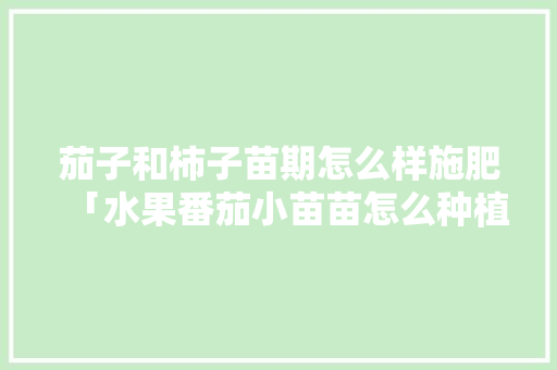 茄子和柿子苗期怎么样施肥「水果番茄小苗苗怎么种植视频」 花朵知识 茄子和柿子苗期怎么样施肥「水果番茄小苗苗怎么种植视频」 茄子和柿子苗期怎么样施肥「水果番茄小苗苗怎么种植视频」 花朵知识