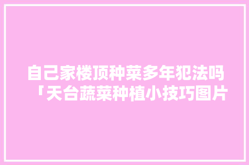 自己家楼顶种菜多年犯法吗「天台蔬菜种植小技巧图片大全」 自己家楼顶种菜多年犯法吗「天台蔬菜种植小技巧图片大全」 种植技巧